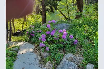 31221 Old City Creek, Running Springs, CA 92382 - Photo 11