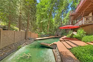 31221 Old City Creek, Running Springs, CA 92382 - Photo 69