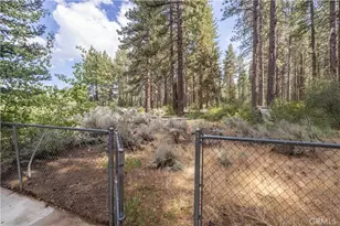 42855 Willow Ave, Big Bear Lake, CA 92315 - Photo 21