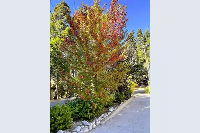 863 Oak, Lake Arrowhead, CA 92385 - Photo 23