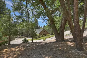 707 Briar Ln, Green Valley Lake, CA 92341 - Photo 47