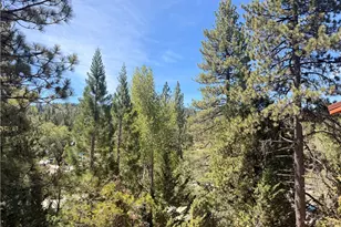 32778 Deer Lick, Arrowbear, CA 92382 - Photo 13