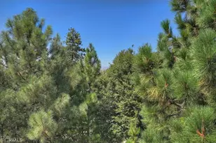27398 Matterhorn Dr, Lake Arrowhead, CA 92352 - Photo 23