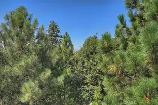 27398 Matterhorn Dr, Lake Arrowhead, CA 92352 - Photo 21