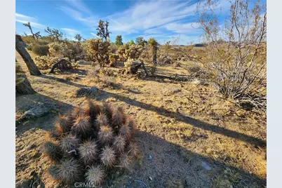 61329 Rocky Vista Lane, Joshua Tree, CA 92252 - Photo 13