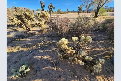 61329 Rocky Vista Lane, Joshua Tree, CA 92252 - Photo 15