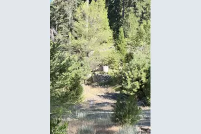 27263 State Highway 189, Blue Jay, CA 92317 - Photo 5