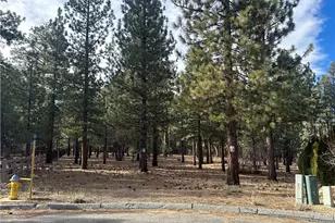 1801 Shady, Big Bear City, CA 92314 - Photo 1
