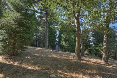 0 Pine, Cedarpines Park, CA 92322 - Photo 5