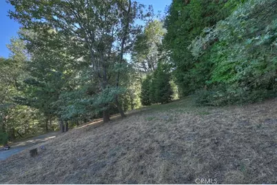 0 Pine, Cedarpines Park, CA 92322 - Photo 7