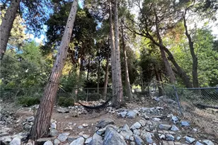 39326 Prospect, Forest Falls, CA 92339 - Photo 23