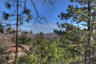 27832 St Bernard, Lake Arrowhead, CA 92352 - Photo 39