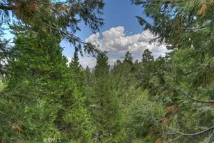 28986 Alder Terrace, Lake Arrowhead, CA 92321 - Photo 11