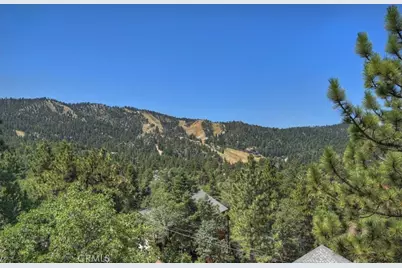 43659 Wolf, Big Bear Lake, CA 92315 - Photo 33