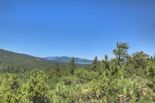 43659 Wolf, Big Bear Lake, CA 92315 - Photo 31