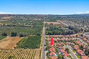 10726 Opal, Redlands, CA 92374 - Photo 41