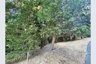28980 White Dove Lane, Lake Arrowhead, CA 92352 - Photo 3