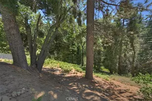 31095 Old City Creek Rd, Running Springs, CA 92382 - Photo 49