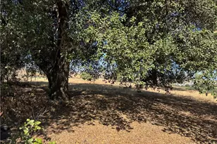 61 Redwood, Calimesa, CA 92320 - Photo 1