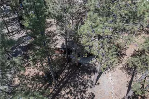 630 Pine, Sugarloaf, CA 92386 - Photo 31