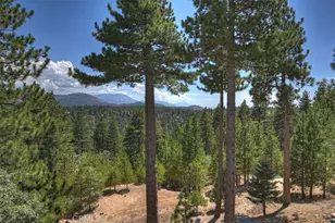 1781 Nob Hill, Running Springs, CA 92382 - Photo 39