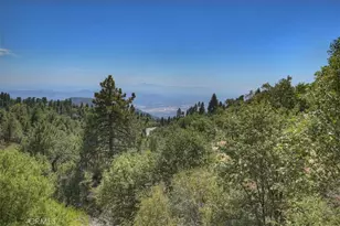 30607 Ferndale, Running Springs, CA 92382 - Photo 41