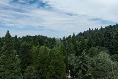 28879 Sycamore Drive, Lake Arrowhead, CA 92385 - Photo 19