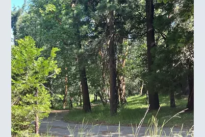 28879 Sycamore Drive, Lake Arrowhead, CA 92385 - Photo 27
