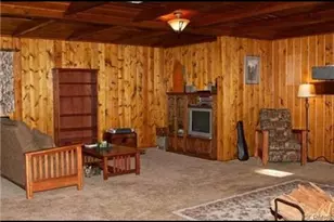 41071 Valley of the Falls Dr, Forest Falls, CA 92339 - Photo 5