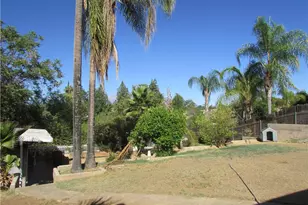 1407 Pacific St, Redlands, CA 92373 - Photo 7
