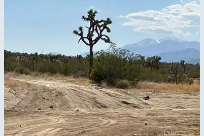 7374 Olympic Road, Joshua Tree, CA 92252 - Photo 27