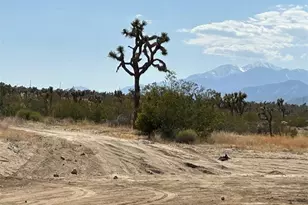 7374 Olympic Rd, Joshua Tree, CA 92252 - Photo 27