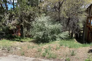 0 Imperial Ave, Sugarloaf, CA 92386 - Photo 1