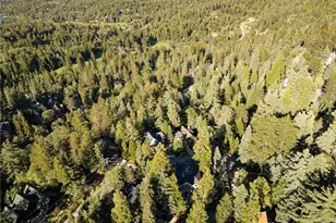 26385 Walnut Hills Dr, Lake Arrowhead, CA 92352 - Photo 7