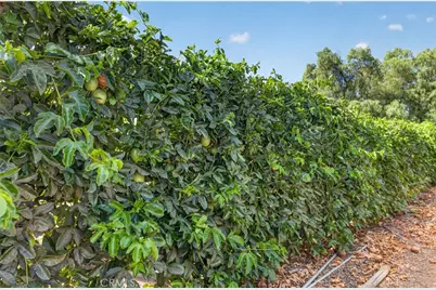 2801 E Mission Road, Fallbrook, CA 92028 - Photo 53