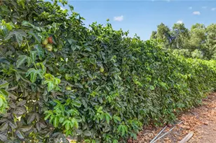 2801 E Mission Rd, Fallbrook, CA 92028 - Photo 53