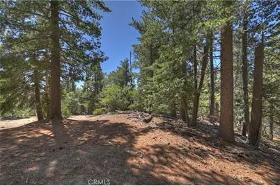 0 Cobblestone, Running Springs, CA 92382 - Photo 5