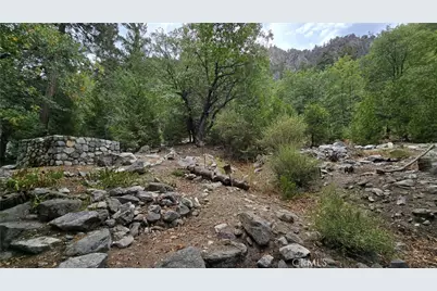 9256 Wood, Forest Falls, CA 92339 - Photo 13