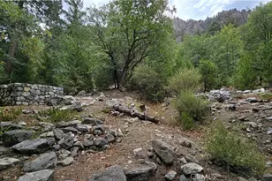 9256 Wood, Forest Falls, CA 92339 - Photo 13