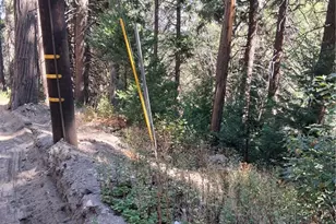 14 Burnt Mill Canyon Rd, Cedarpines Park, CA 92322 - Photo 1