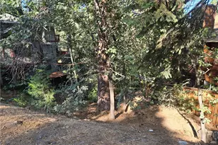 0 Secret Dr, Running Springs, CA 92382 - Photo 1