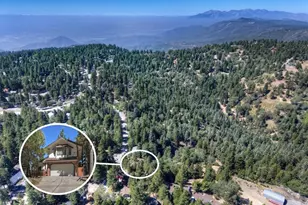 31310 Oakleaf, Running Springs, CA 92382 - Photo 3