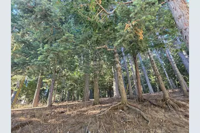 0 Altdorf, Crestline, CA 92325 - Photo 3