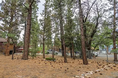 620 Pine, Sugarloaf, CA 92386 - Photo 1