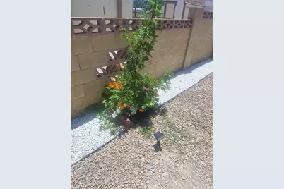 228 N La Paloma Avenue, San Jacinto, CA 92582 - Photo 5
