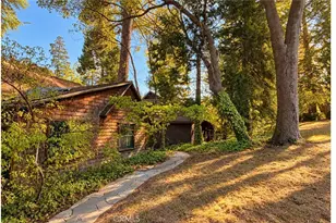 29682 Hook Creek, Cedar Glen, CA 92321 - Photo 39