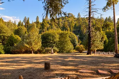 29682 Hook Creek, Cedar Glen, CA 92321 - Photo 51