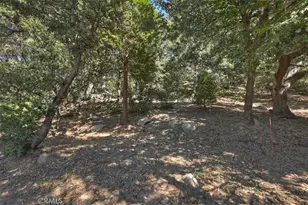 815 Chamois, Crestline, CA 92325 - Photo 49