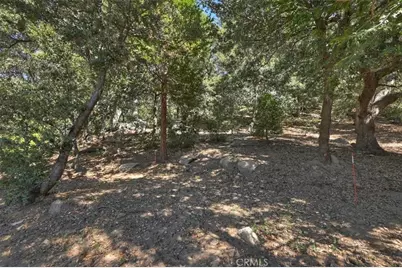 815 Chamois, Crestline, CA 92325 - Photo 49