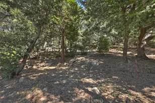 815 Chamois, Crestline, CA 92325 - Photo 49
